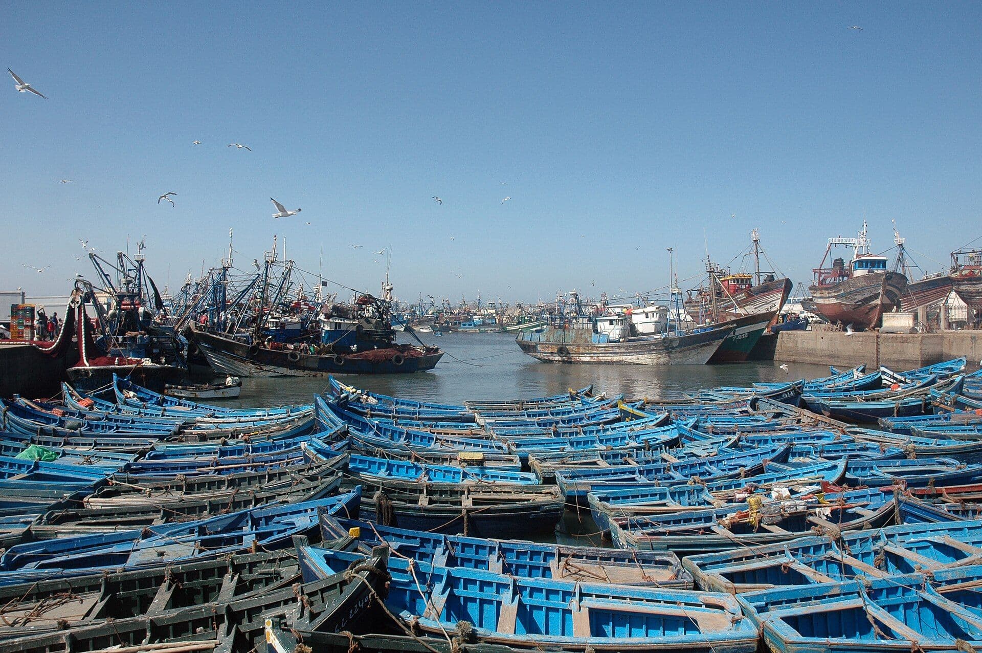 Blauwe houten vissersboten dicht op elkaar in de haven van Essaouira