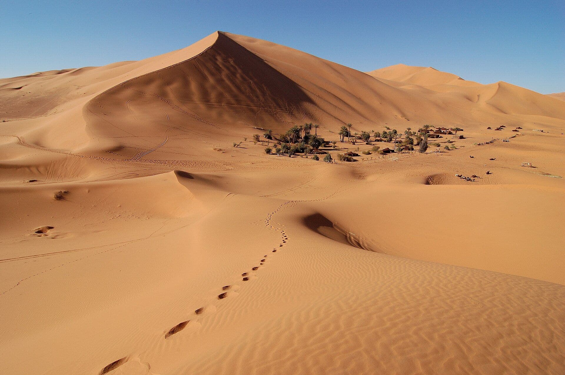 Een tentenkamp aan de voet van hoge zandduinen in de Sahara